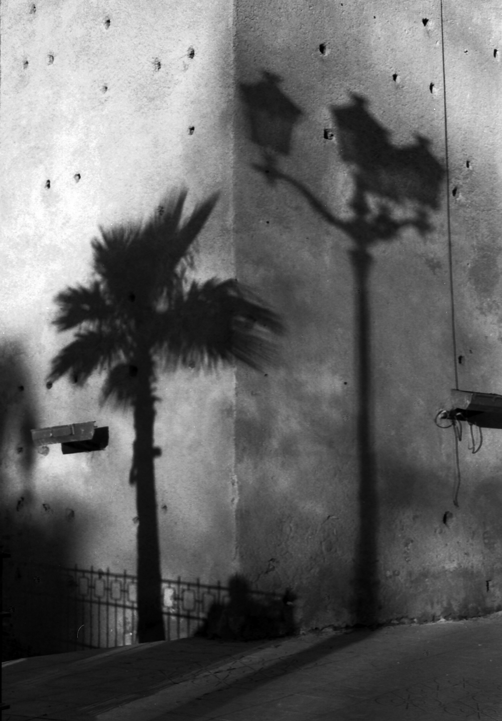 Casablanca
